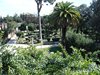 DSC07781
