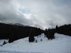 IMG_0406